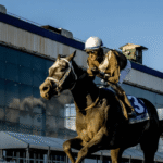 The Top 5 Horse Racing Podcasts for Fans