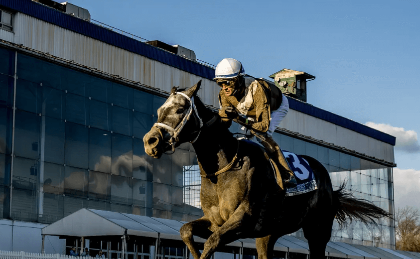 The Top 5 Horse Racing Podcasts for Fans